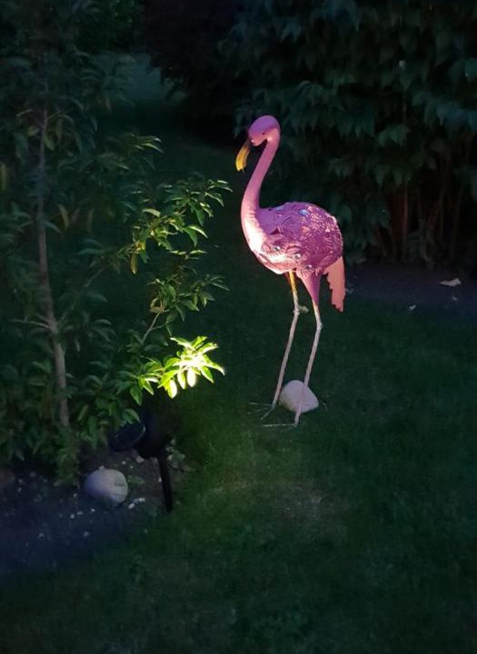 Photo of Others in Alford