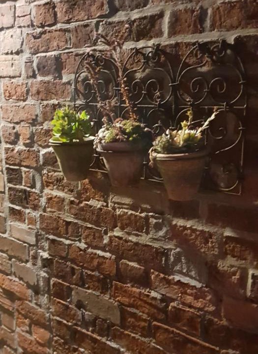 Photo of Buildings in Alford