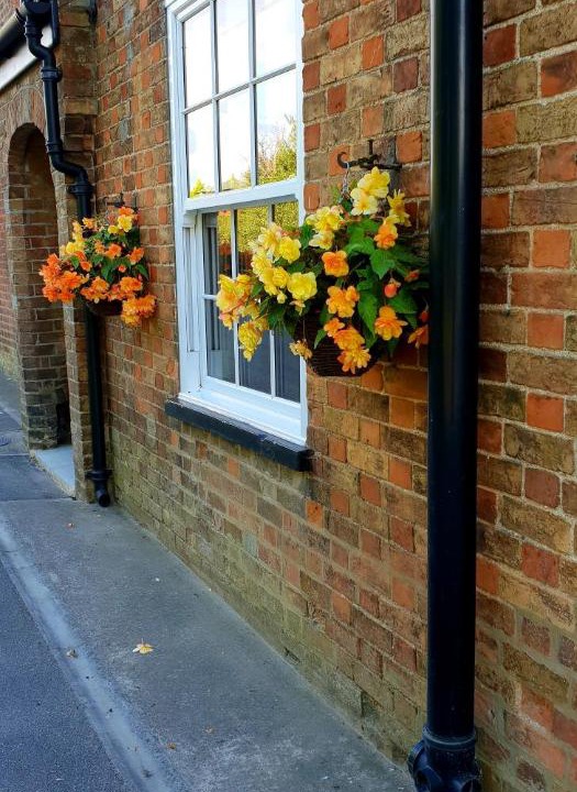 Photo of Others in Alford