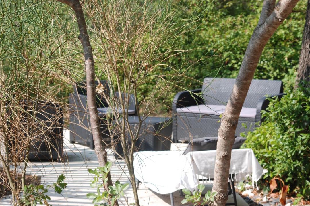 Photo of Others in Signes