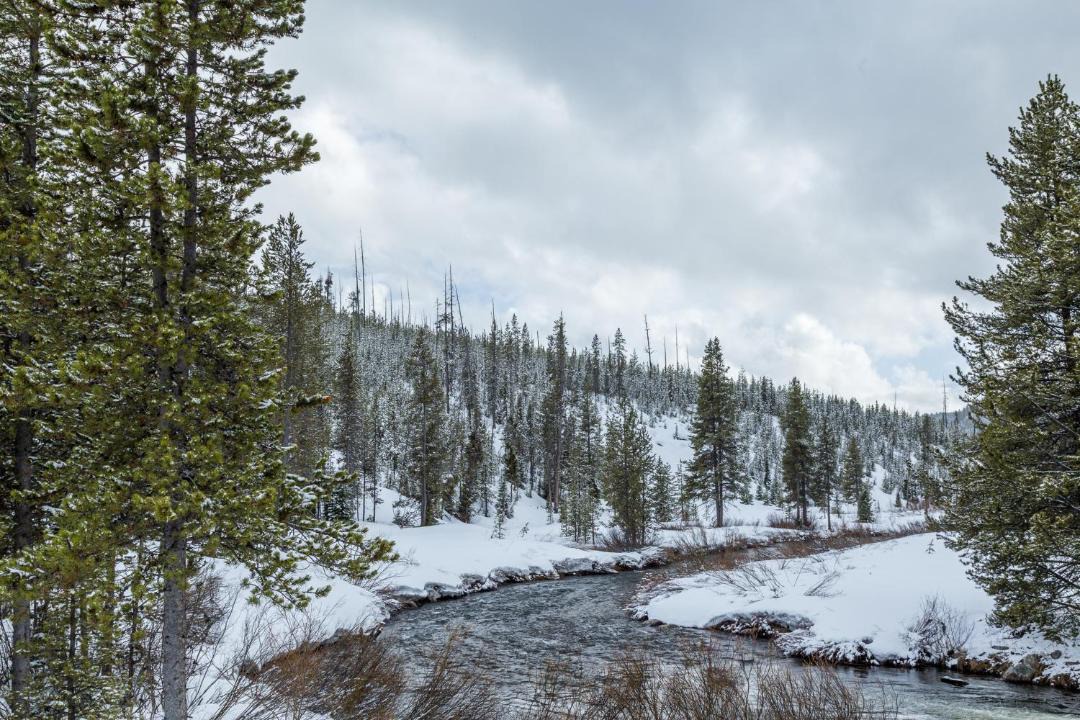 Photo of Others in Big Sky Meadow Village