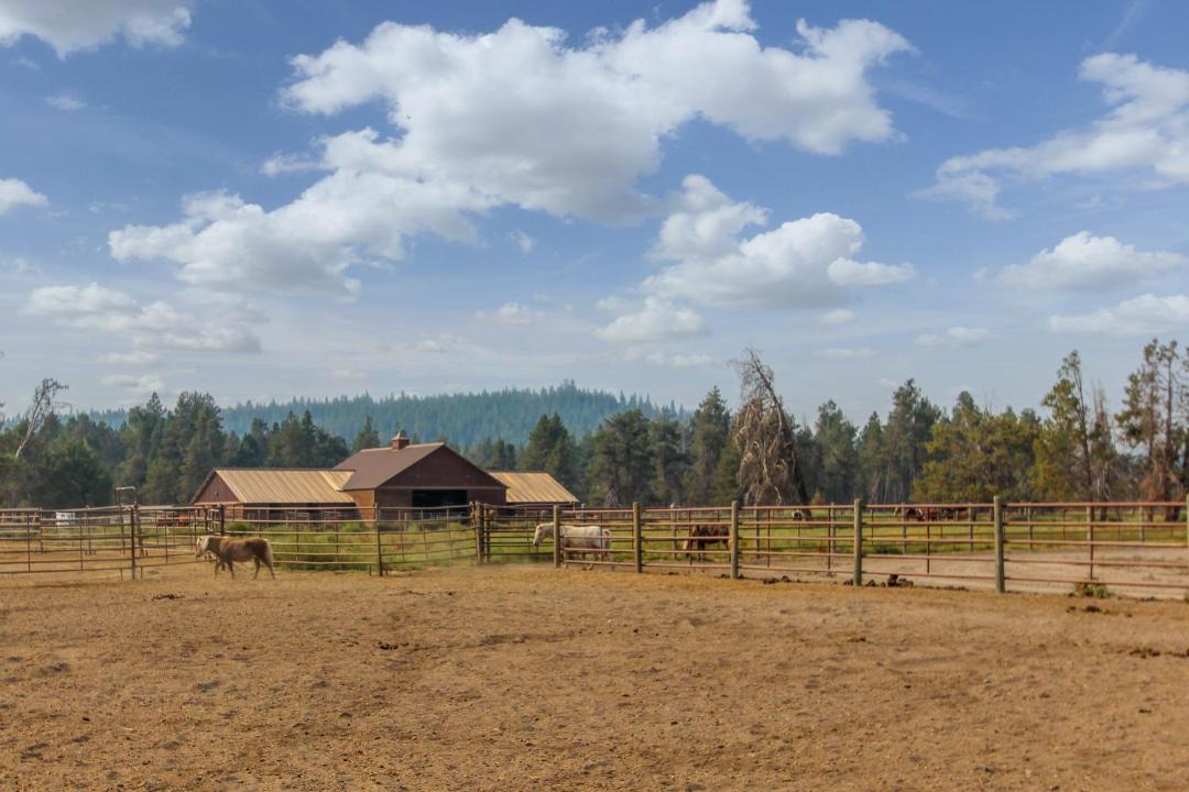 Photo of Others in Sunriver