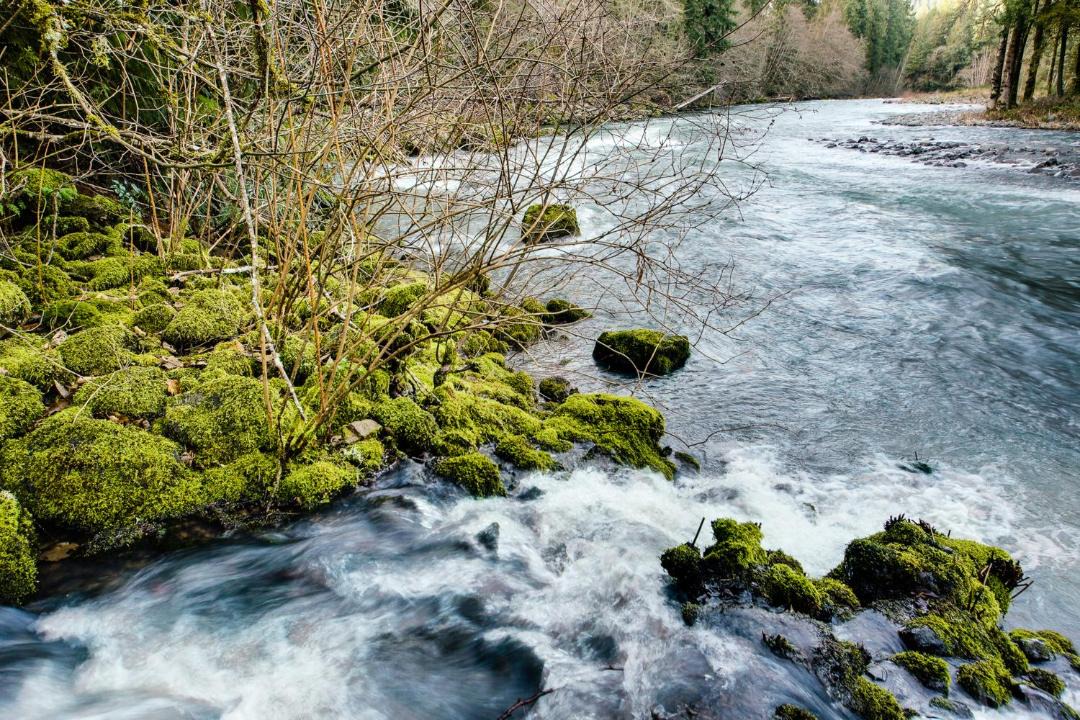 Photo of Others in Molalla