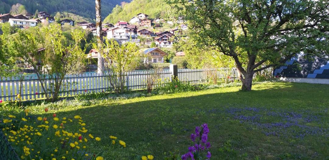 Photo of Others in Interlaken