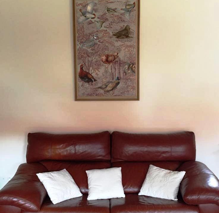 Photo of Livingroom in Villers-Chatel