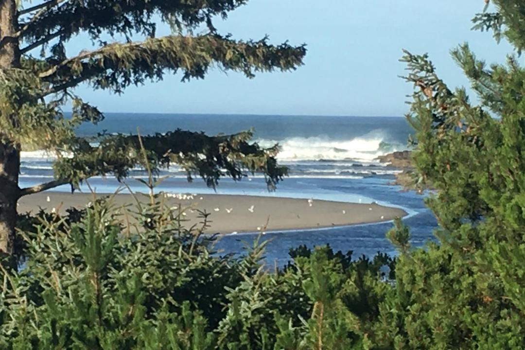 Photo of Others in Yachats