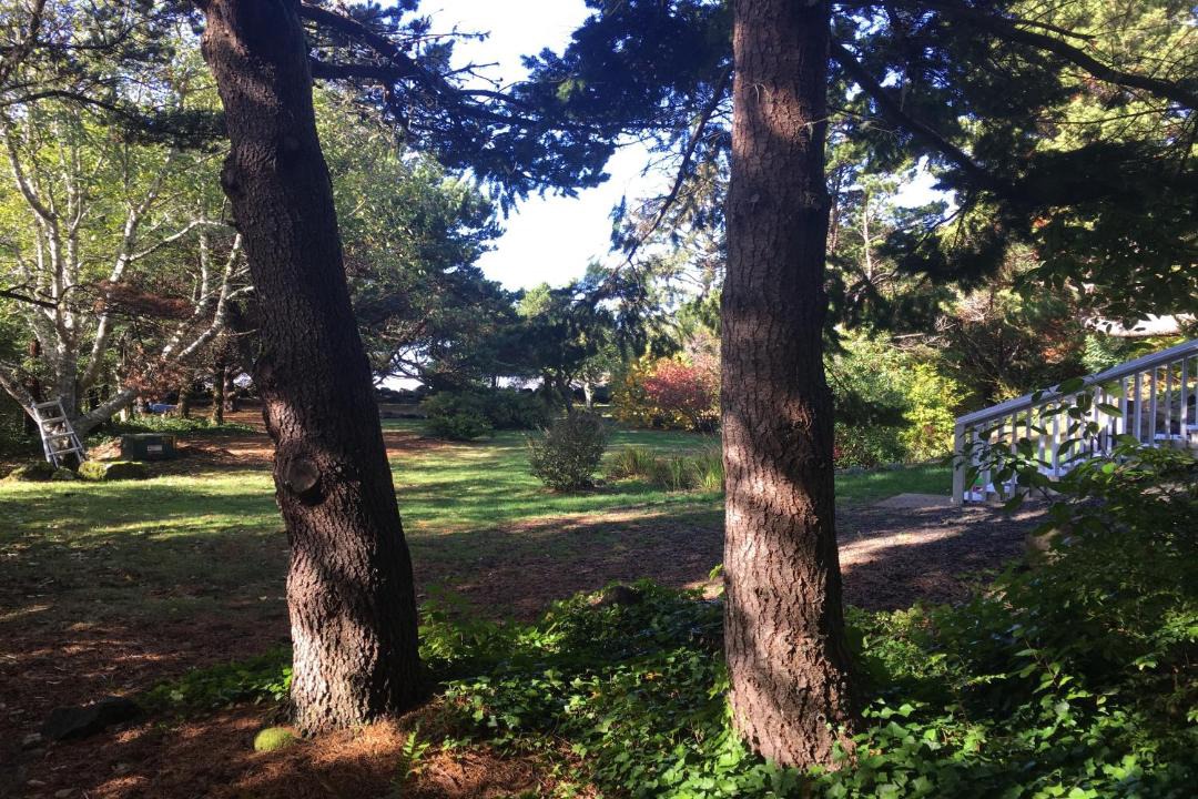 Photo of Others in Yachats