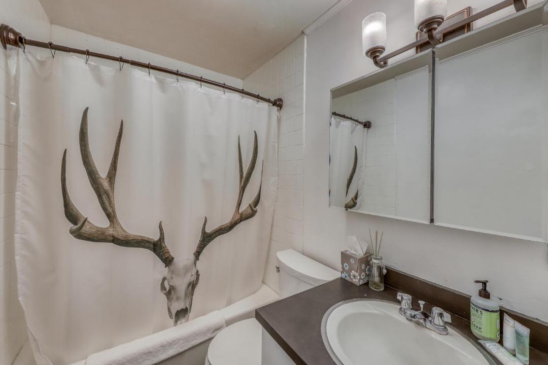 Photo of Others in Winhall