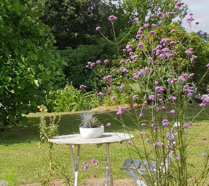 Photo of Others in La Meziere