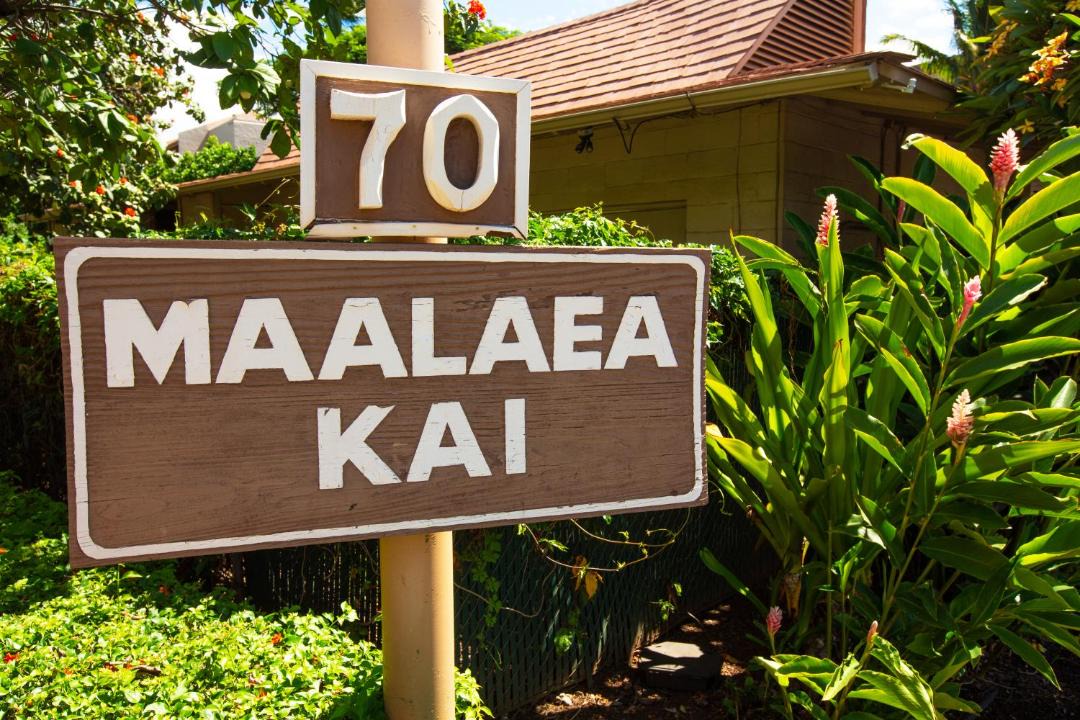Photo of Others in Maalaea