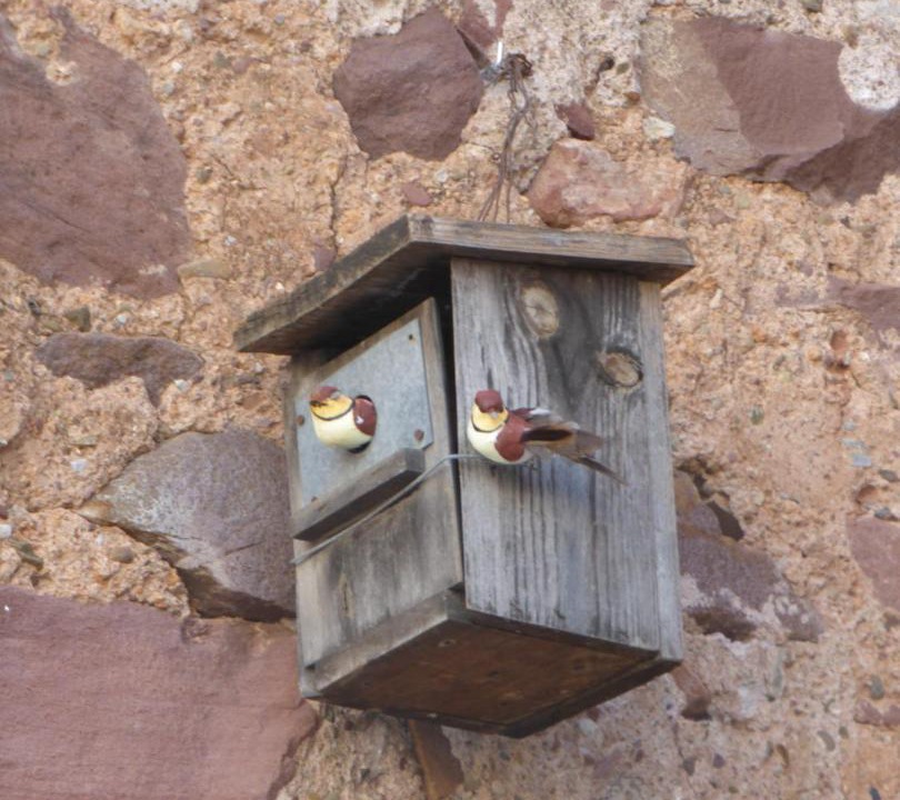 Photo of Others in Benicassim