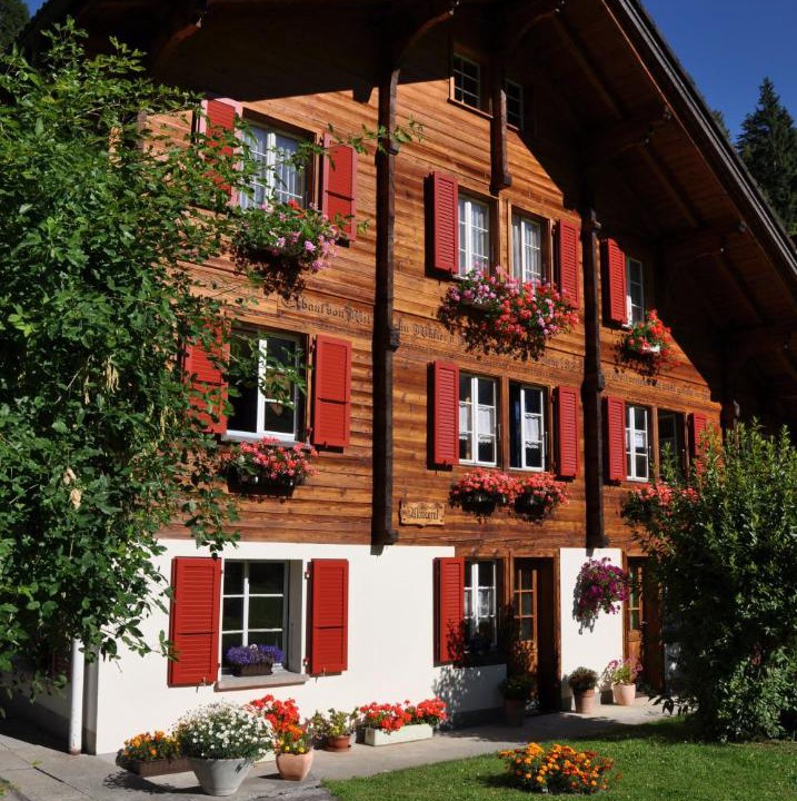 Photo of Others in Adelboden