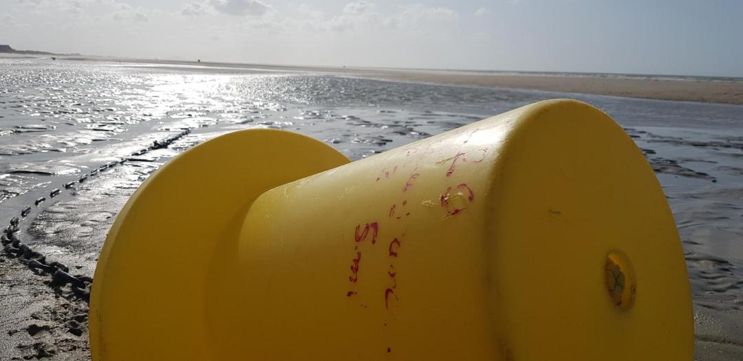 Photo of Others in Bray-Dunes