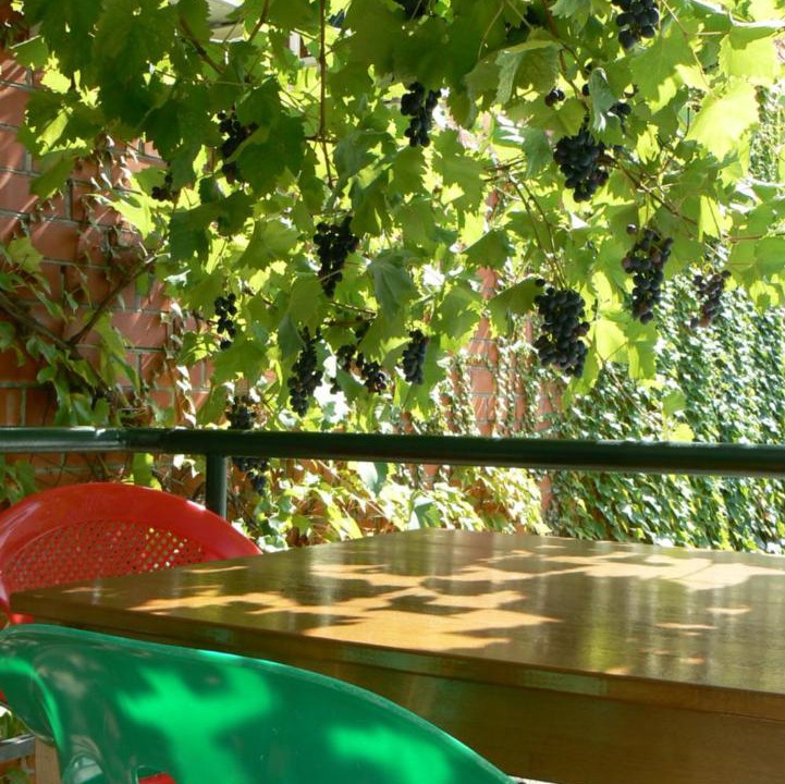 Photo of Outdoor in Gelendzhik