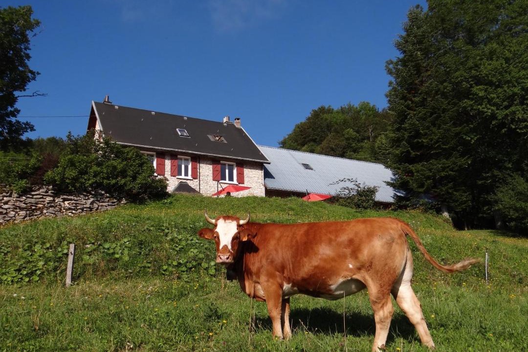 Photo of Buildings in Rencurel