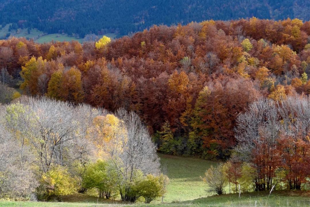 Photo of Others in Rencurel