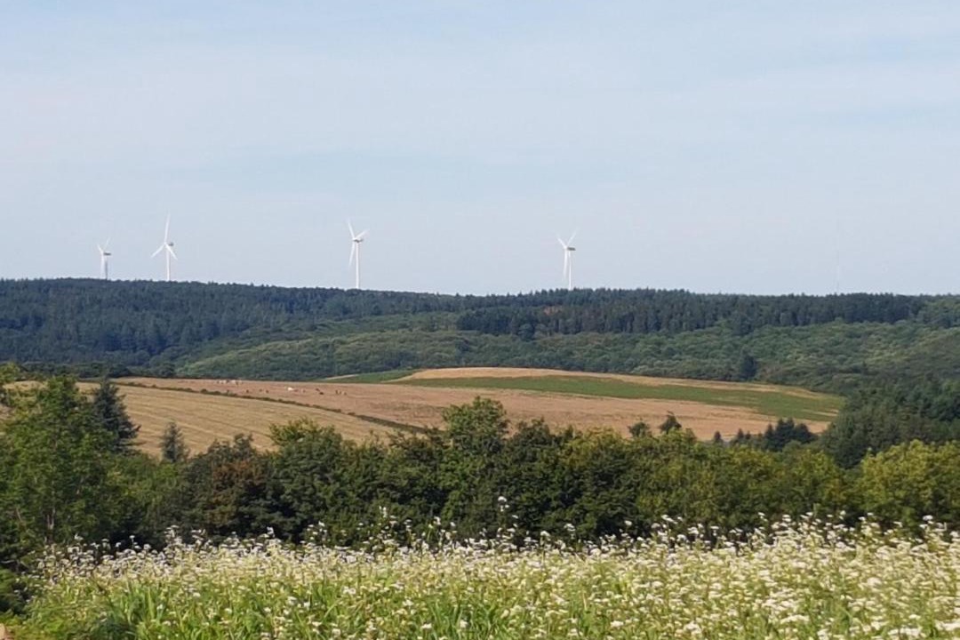 Photo of Others in Les Martys