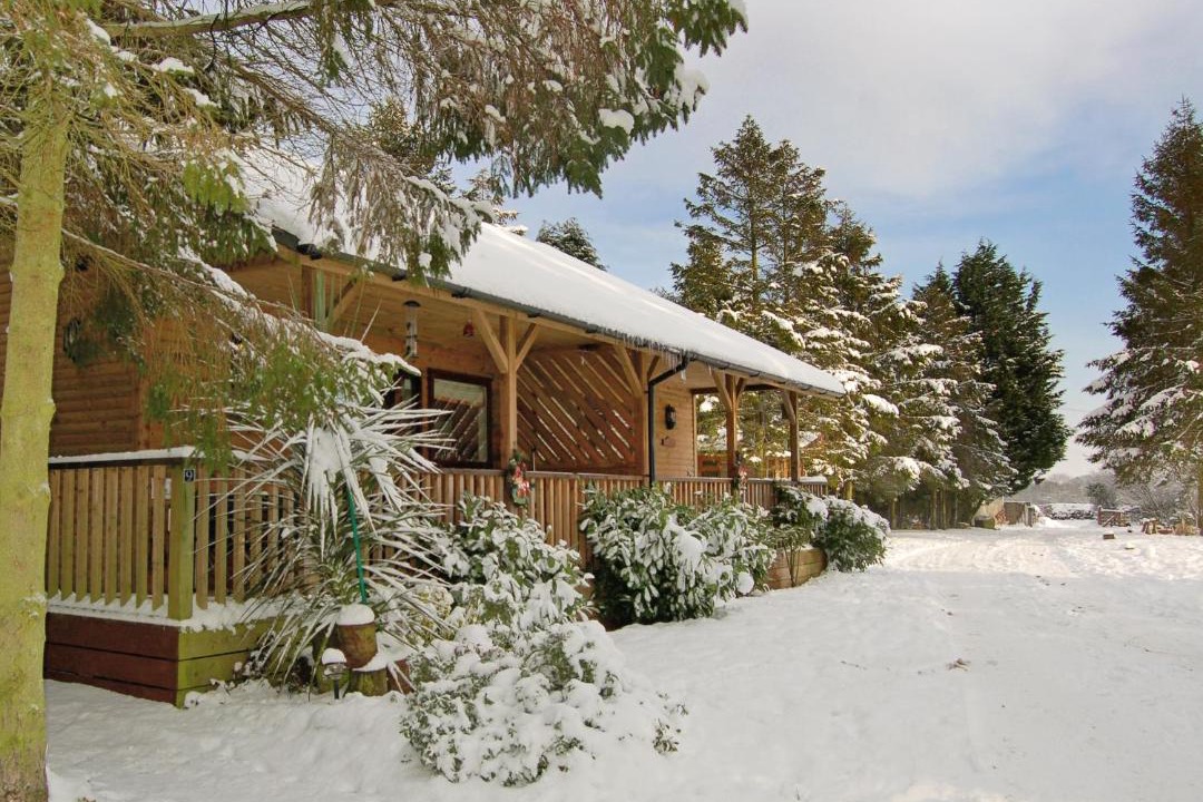 Photo of Others in Pickering