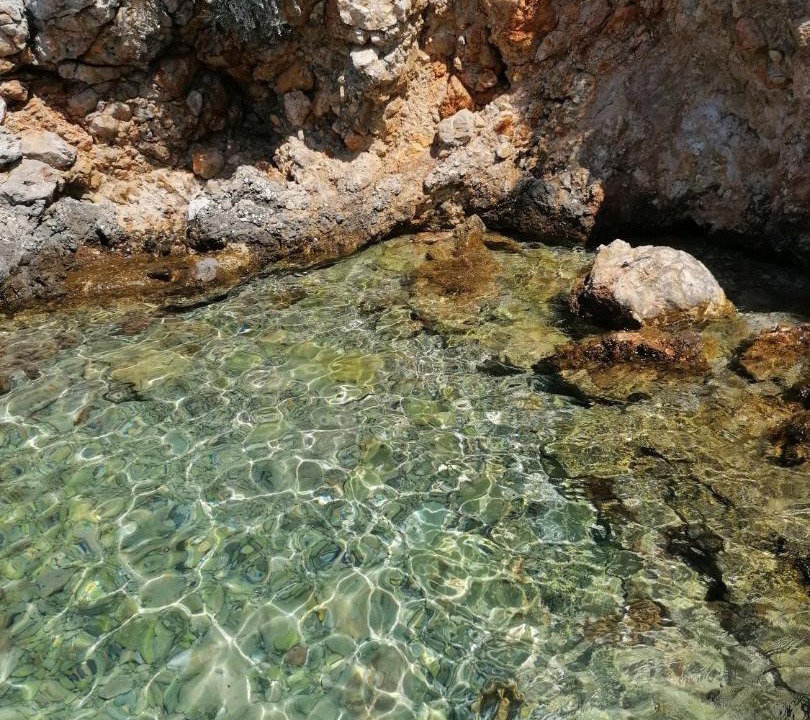 Photo of Others in Baric Draga