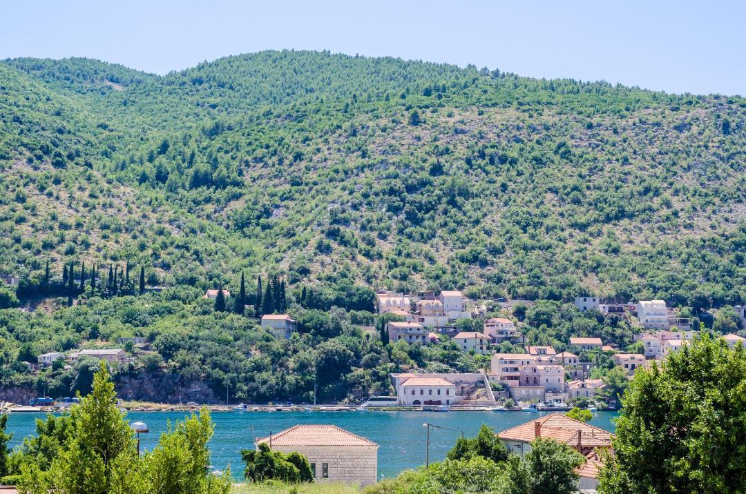 Photo of Outdoor in Mokosica