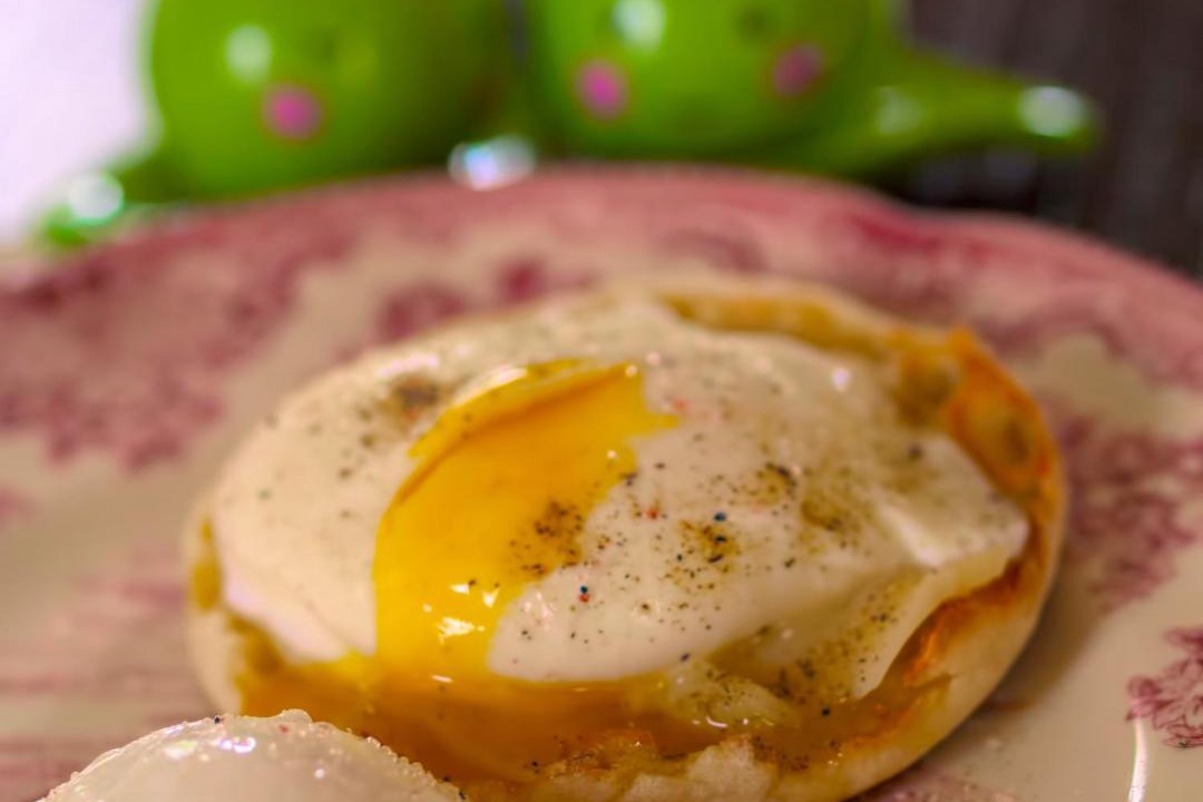 Photo of Others in Onemo