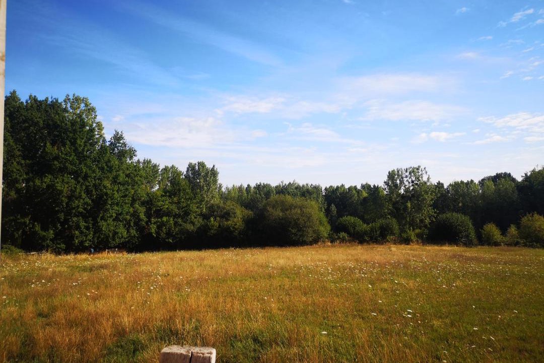 Photo of Others in Saint-Jean-de-la-Motte
