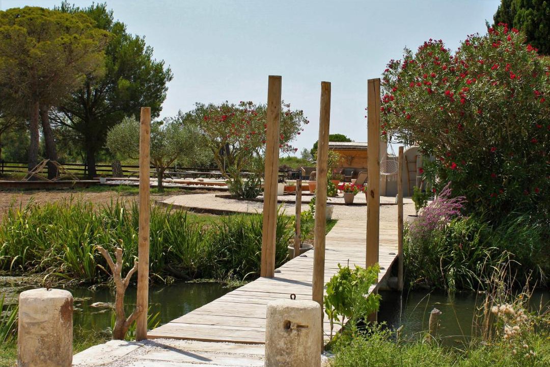 Photo of Others in Saintes-Maries-de-la-Mer