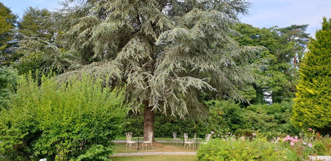 Photo of Others in Le Faouet