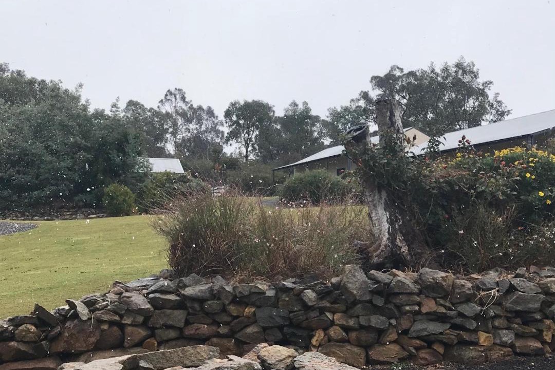 Photo of Others in Hill End