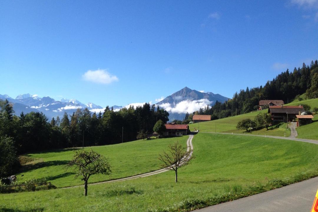 Photo of Others in Goldiwil