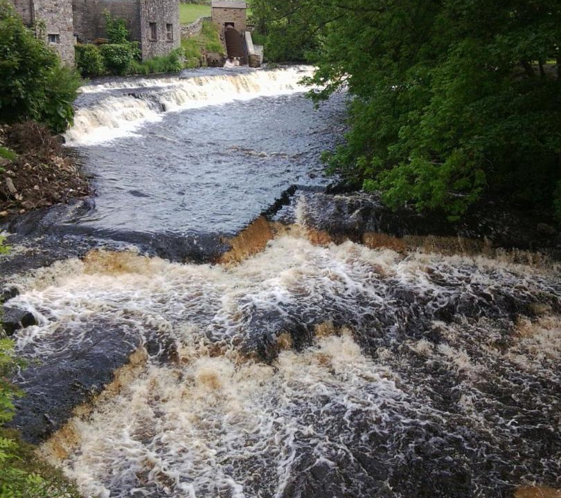 Photo of Others in Bainbridge