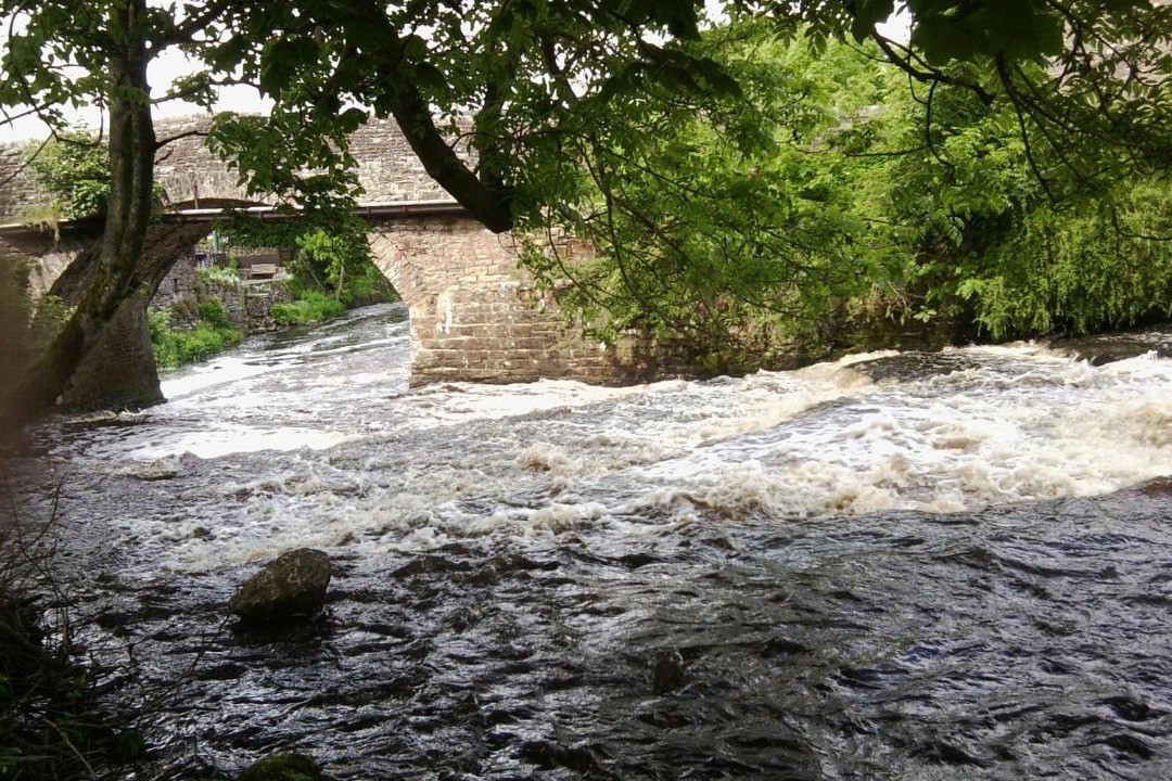 Photo of Others in Bainbridge