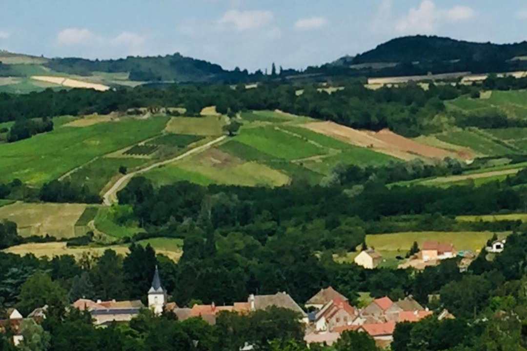 Photo of Others in Paris-l'Hopital