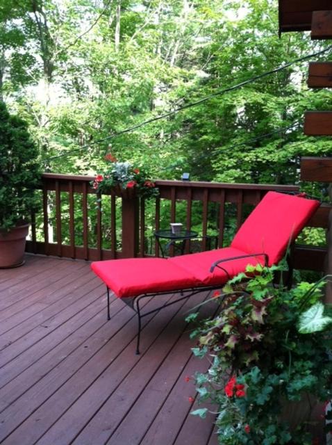 Photo of Others in Haines Falls