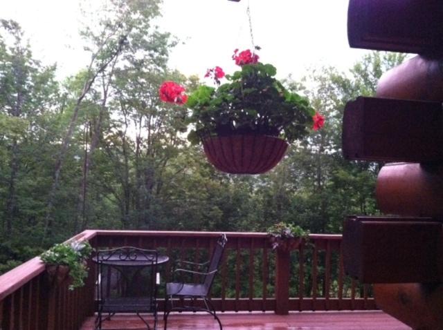 Photo of Others in Haines Falls