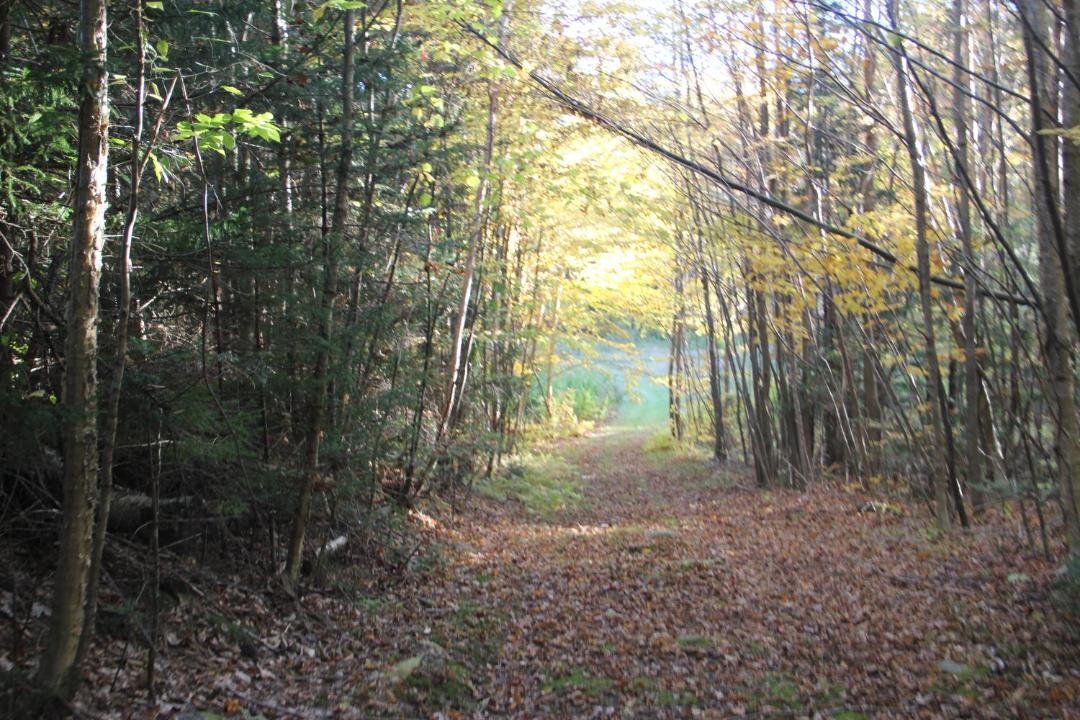 Photo of Others in Randolph