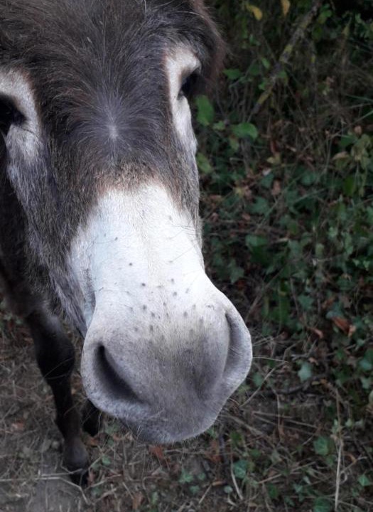 Photo of Others in La Possonniere