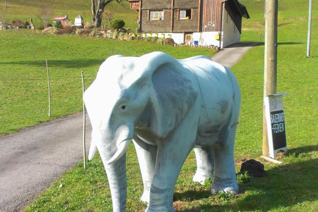 Photo of Others in Flums