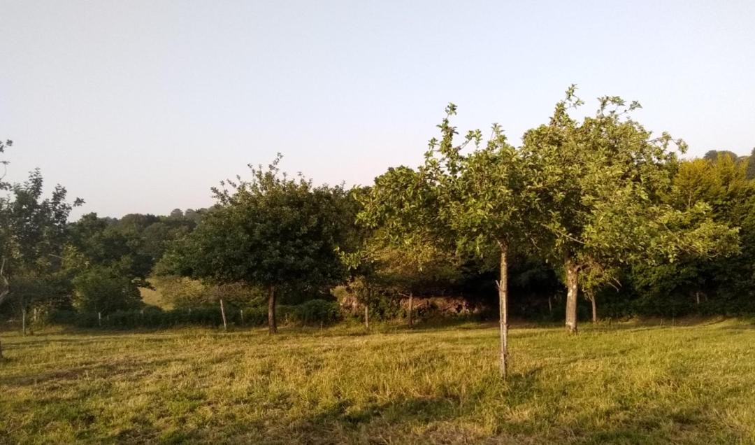 Photo of Outdoor in Gathemo