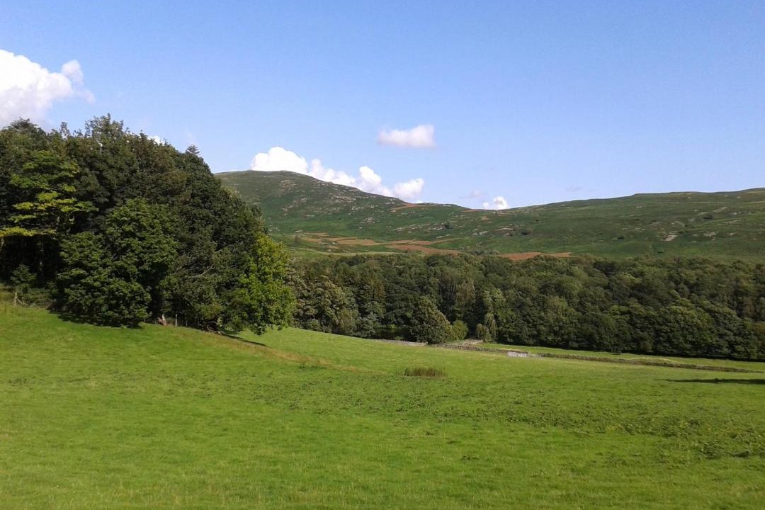 Photo of Others in Broughton Mills