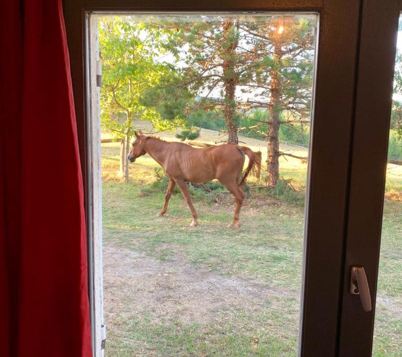 Photo of Others in Damiatte