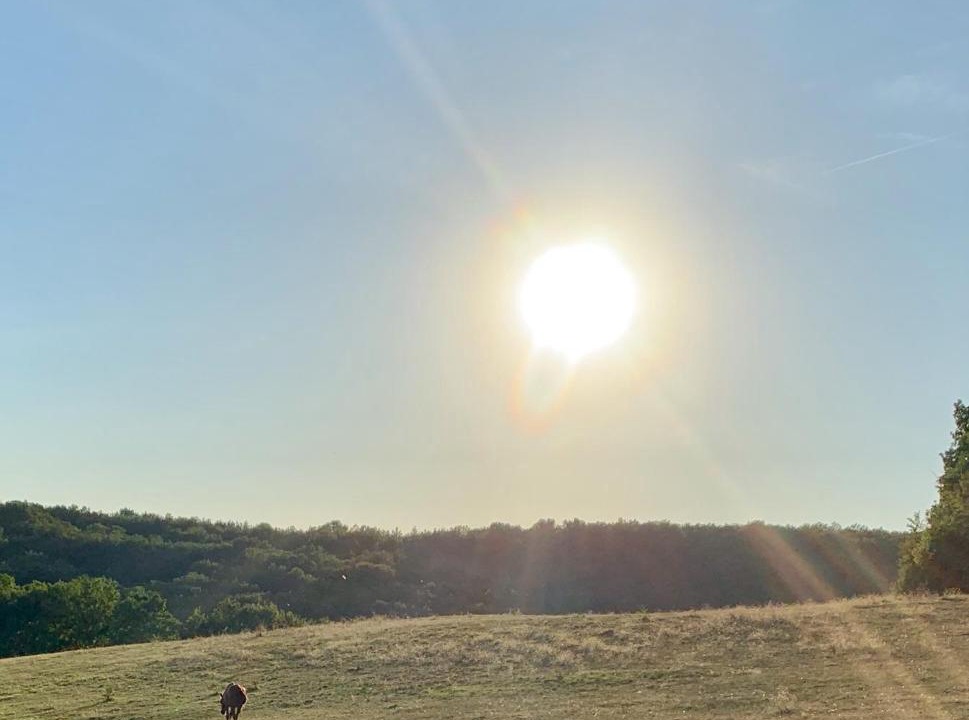 Photo of Others in Damiatte