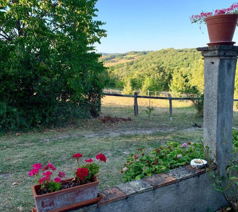 Photo of Others in Damiatte