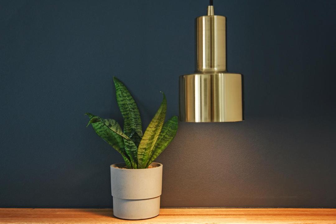 Photo of Others in Vladivostok