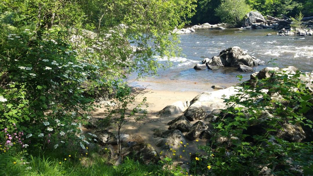 Photo of Others in Saint-Priest-sous-Aixe