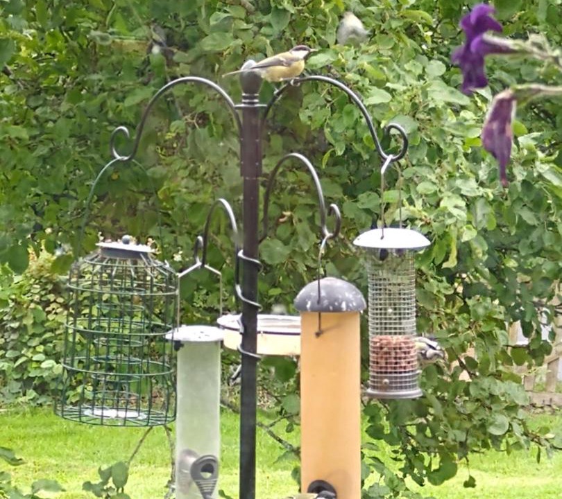 Photo of Others in Llandrindod Wells