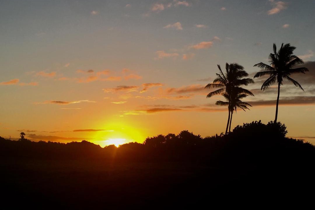 Photo of Others in Punaluu