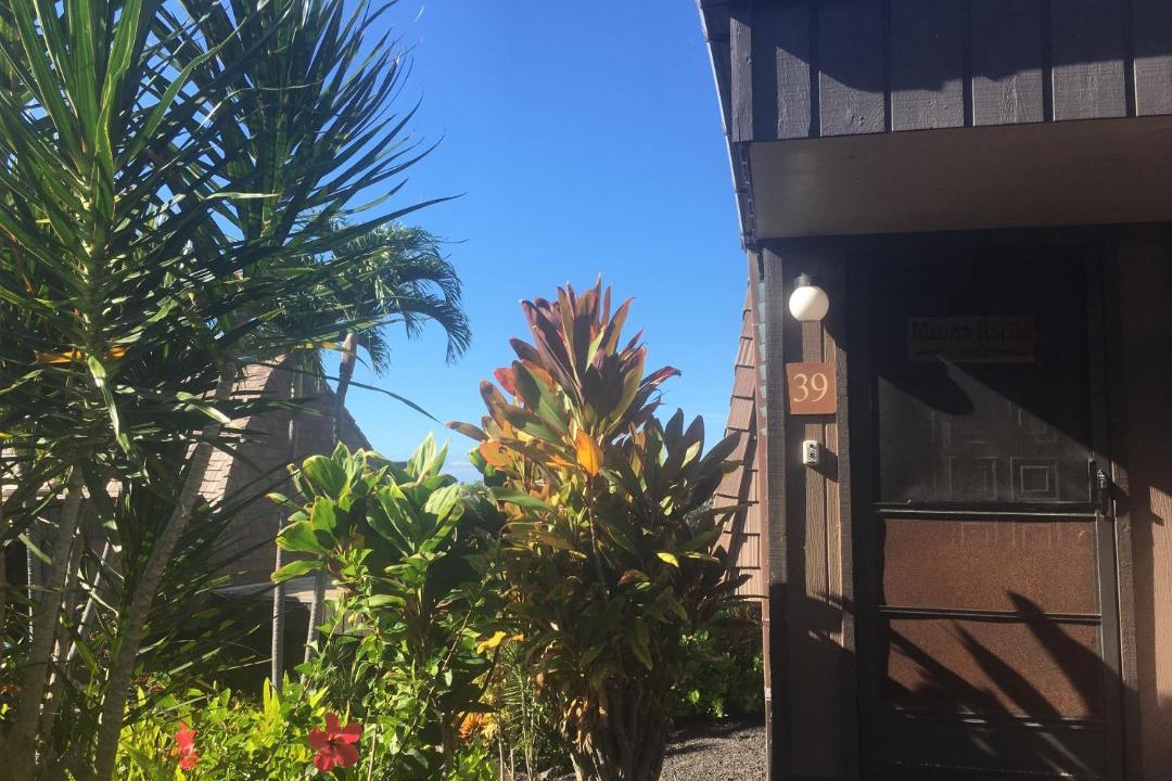 Photo of Others in Punaluu