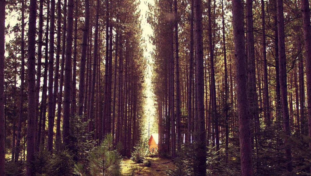 Photo of Others in Mont-Tremblant