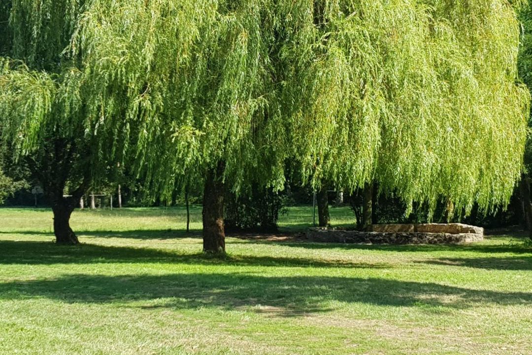 Photo of Others in Solignac